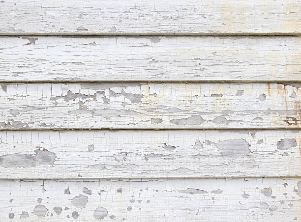 Best Siding for New Construction  in Rustburg, VA