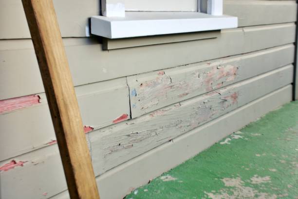 Best Stone Veneer Siding  in Rustburg, VA