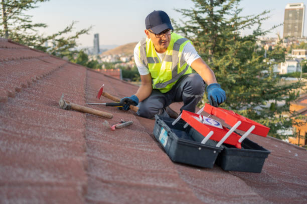 Best Storm Damage Siding Repair  in Rustburg, VA